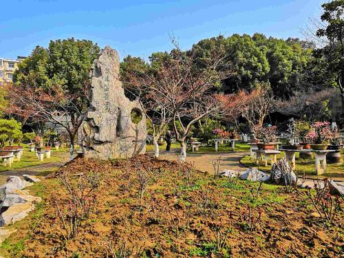 南京古林公园景区