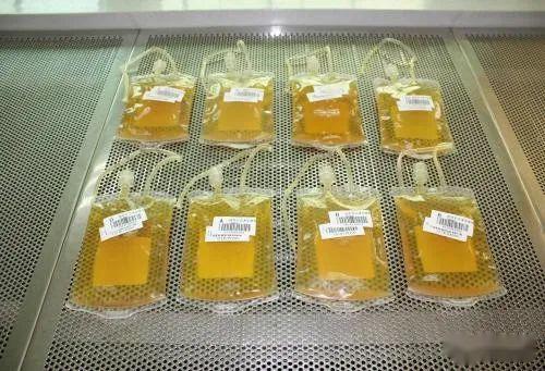 印度新德里将尝试用血浆治疗新冠肺炎重症病人