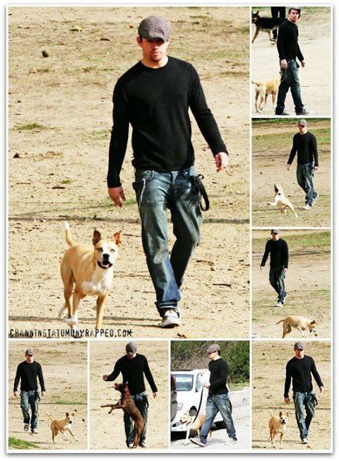 查宁·塔图姆 channing tatum的图片