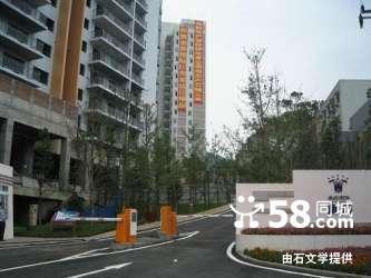 渝能国际