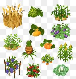 卡通蔬菜图片大全