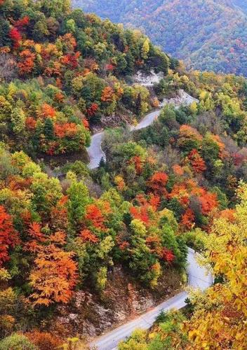 1   秦岭最美乡村公路(高江路)   低调如它,却美霸秦岭一半秋色