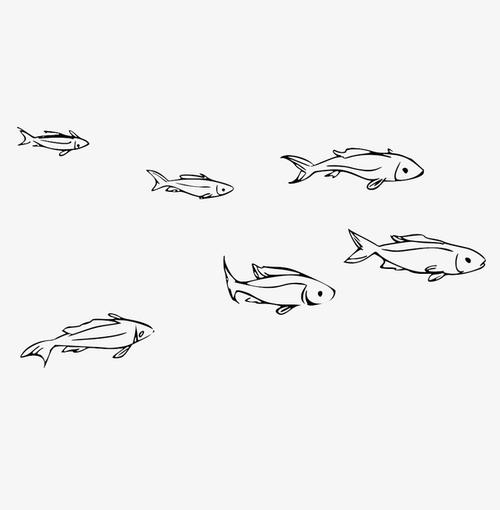 手绘小鱼