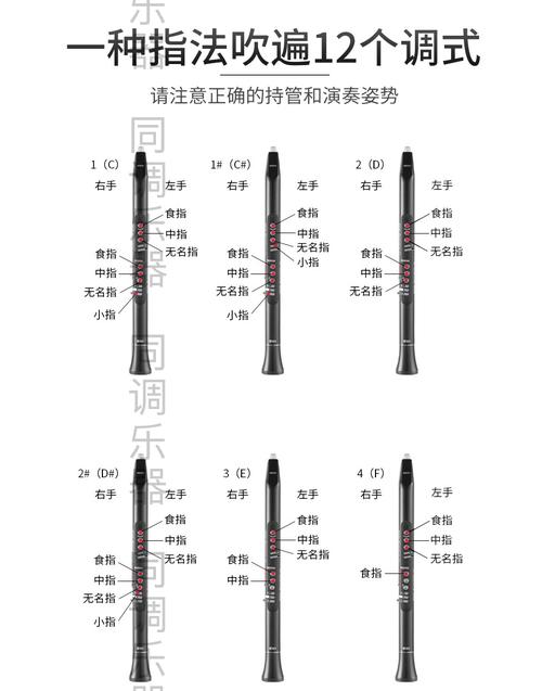 akai雅佳solo电吹管ewi5000演奏单双簧管电子管笛子乐器品质定制 套餐