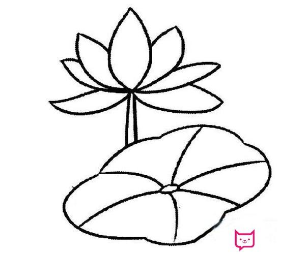 漂亮的荷花简笔画图片,荷花怎么画