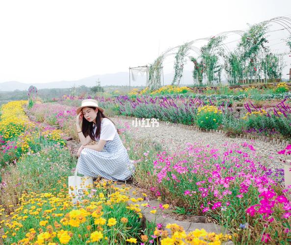 成都周边的风车与花海～_花海_出行_传统景点攻略