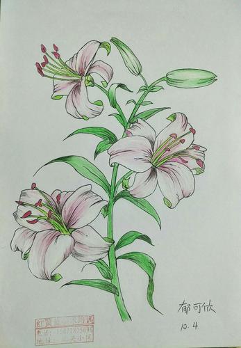 郯城红黄蓝美术培训招生活动进行中,欢迎爱画画的你一起感受奇妙的