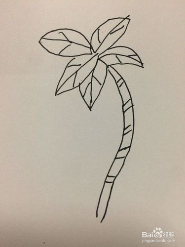 简笔画小土坡画法