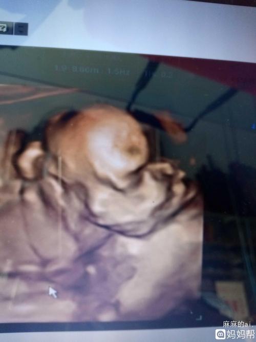 起来的是小鸡吗?