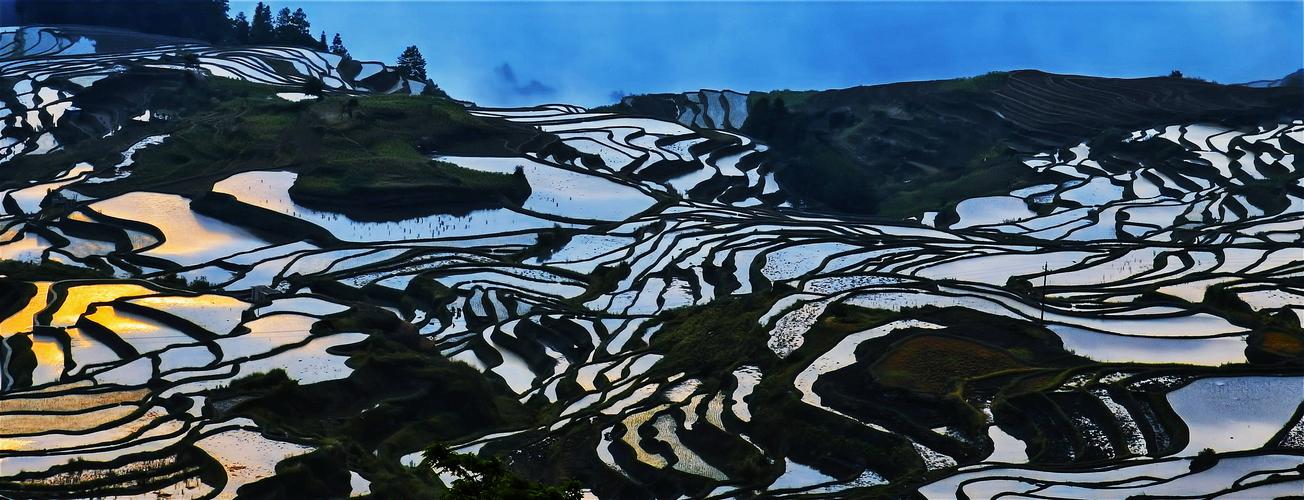 元阳梯田