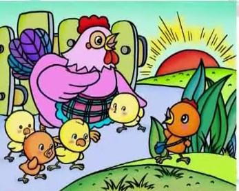 儿童画鸡的一家简笔画彩色