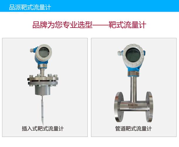 pm-lbs靶式智能流量计管道靶式流量计插入式靶式智能流量计