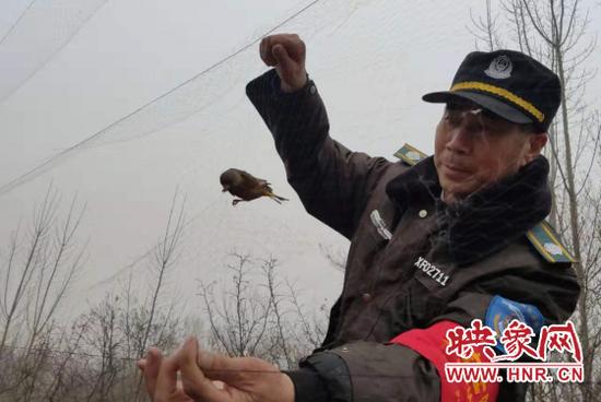 在粘鸟网上,可以看到许多鸟羽毛粘在网上,在寒风吹拂下来回摇摆.