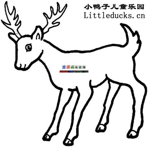 圣诞驯鹿简笔画