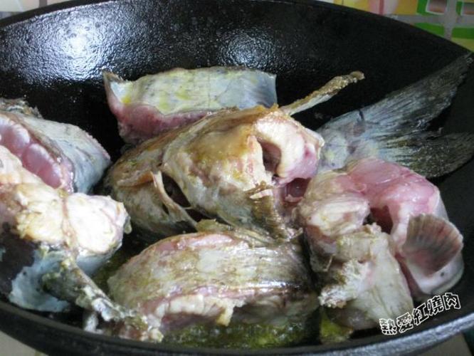 啤酒炖鮰鱼的做法_啤酒炖鮰鱼怎么做_啤酒炖鮰鱼_菜谱