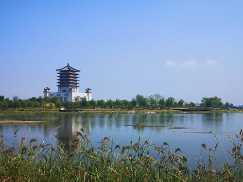 《大汶河湿地公园》