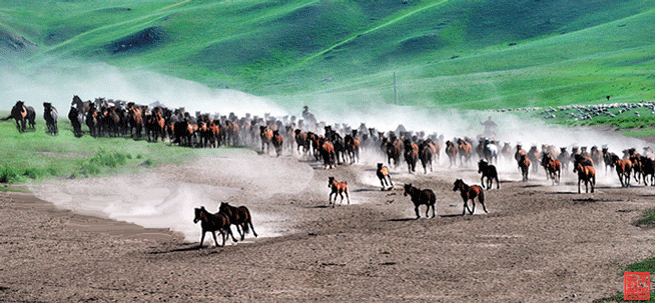 一组精美动态图片