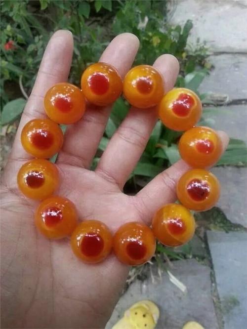 掩盖在精美之下,它还是一只盔犀鸟的头盖骨.