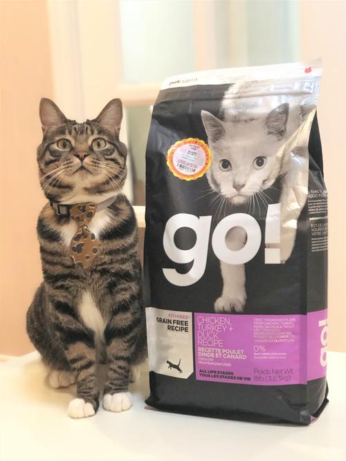 热销进口猫粮天然粮幼猫go