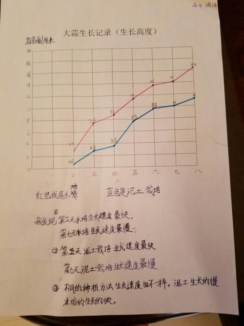 蒜苗生长记录