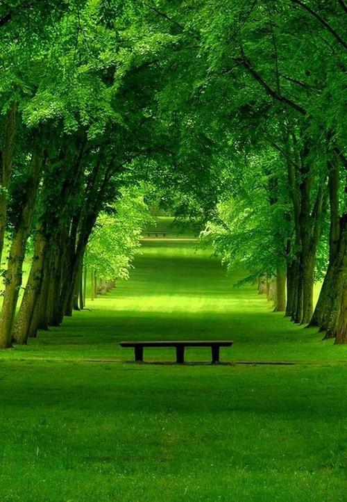 保护眼睛的好图片