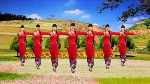 广场舞《荞麦花》经典陕北民歌,演唱王二妮,清脆悦耳真好听