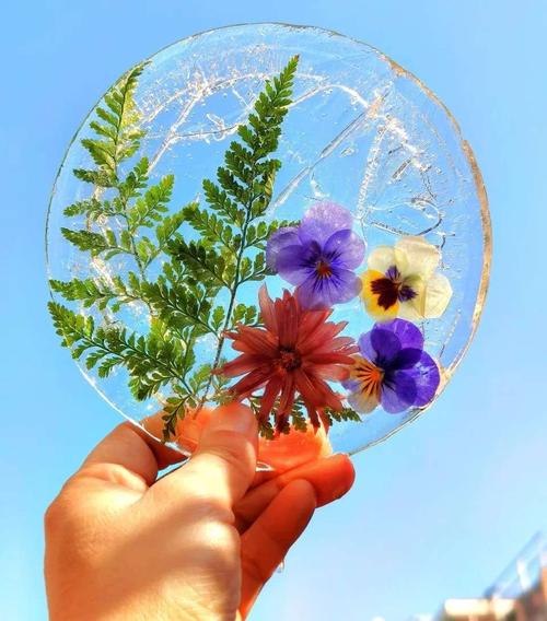 "以万物为师,以自然为友"—亲子冰花制作