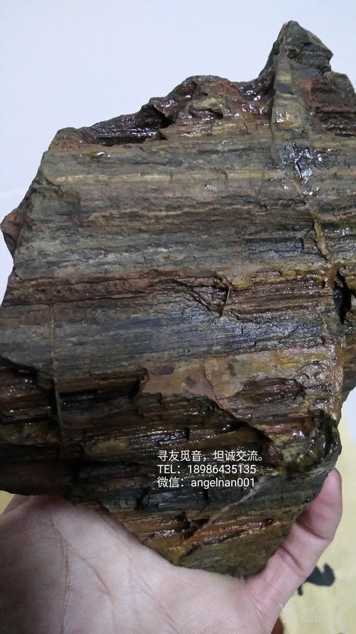 硅化木 树化石 树化玉景观原石