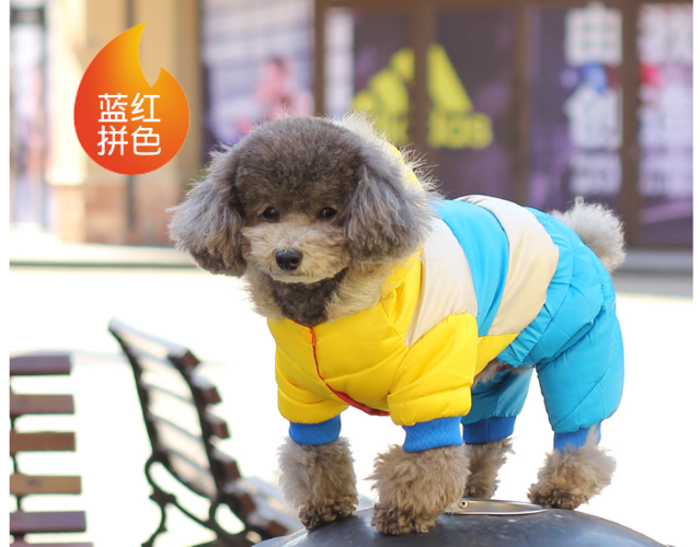 冬装加厚狗狗羽绒服宠物棉袄 小狗棉衣四脚衣泰迪贵宾宠物衣服q 西瓜