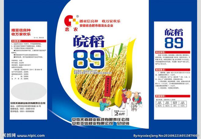 水稻种子