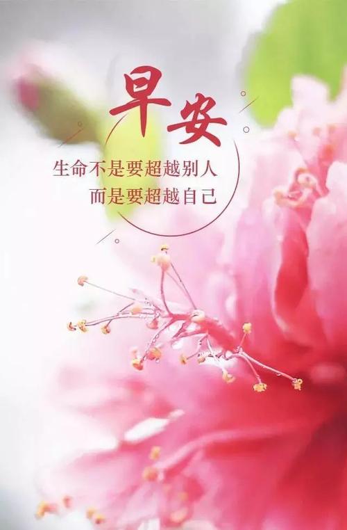 正月二十早安励志图片带字 早晨正能量语录激励人心
