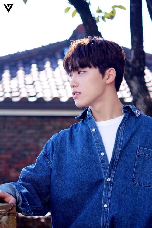 seventeen 李灿 dino