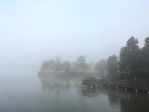 清晨有雾