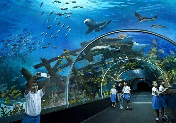 aquarium)号称是是全球最大的水族世界,体验上应该是完胜大阪海游馆