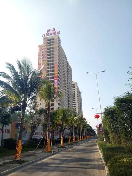 儋州衍宏·万国大都会1月份的工程进度图
