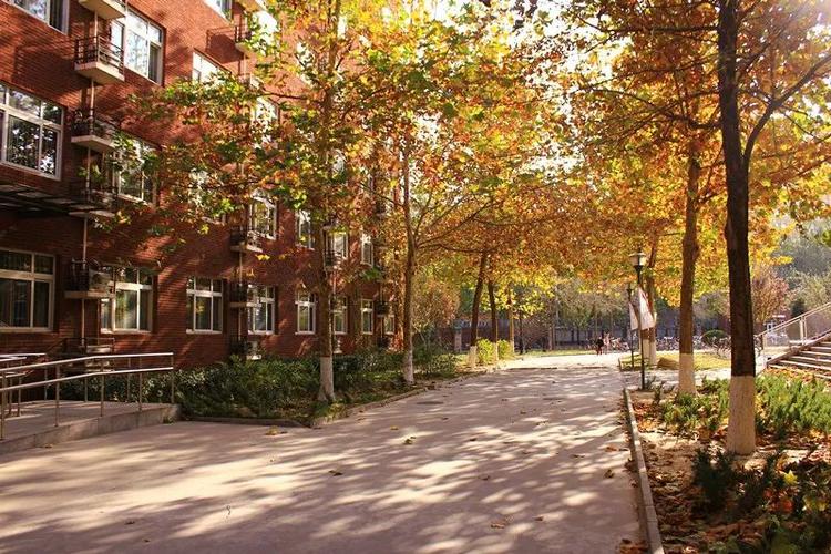 相约北外附校赢取精彩未来北京外国语大学附属外国语学校报考指南来啦