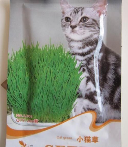粒200 约 彩包种子 牧草种子 小猫吃 小猫草种子 花之