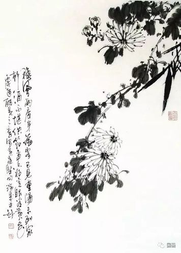 一组绝美中国写意画菊花!