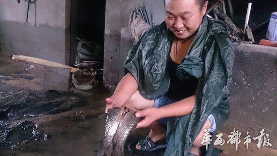 双流今晨降暴雨 居民家中浑水能摸鱼
