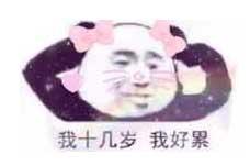 斗图表情包:我十几岁 我好累