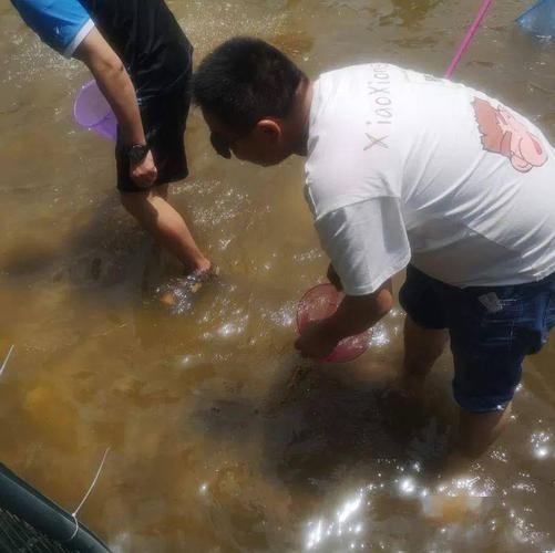 02|浑水摸鱼