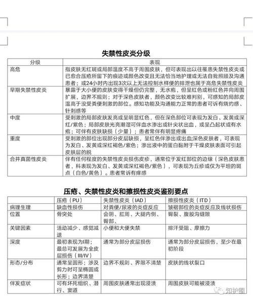 失禁性皮炎(iad)评估工具