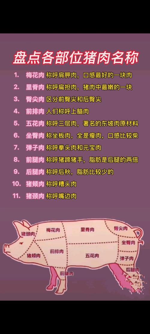 盘点各部位猪肉名称