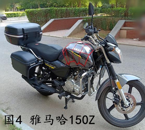 隆之冠 雅马哈天剑150z摩托车侧边箱 国4-150-8特大号