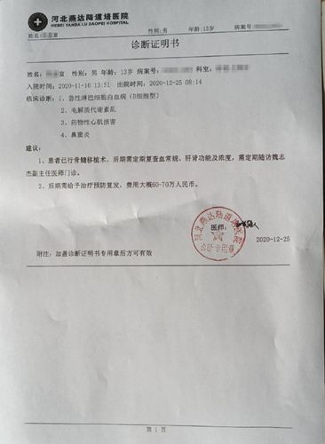 癌症爸爸自己放弃治疗扛水泥救癌症儿子