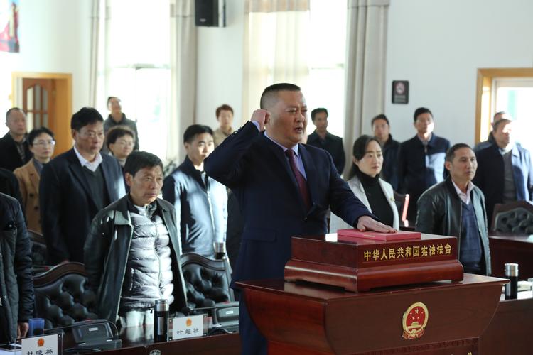 名单,根据保山市人民政府市长杨军的提请,决定任命王文生为保山市人民