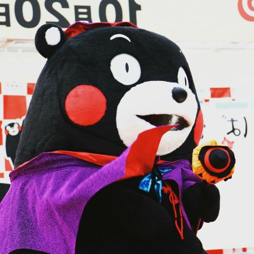 kumamon##熊本部长# 熊本熊万圣节南瓜装( ′艸")