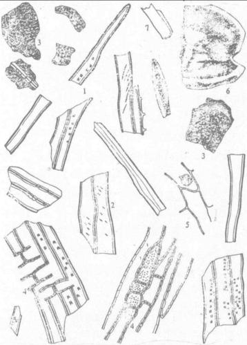 图354-5 进口沉香粉末图