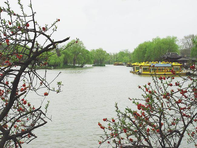 三月扬州,杨柳依依,满目春天