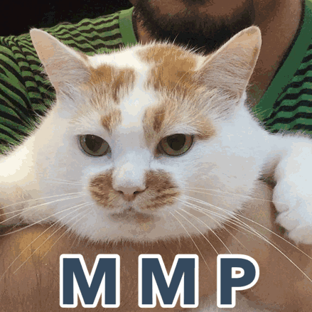 偶像练习生  手机要被没收了,不能再为坤坤打call了.